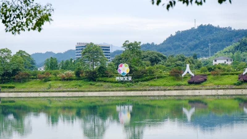 设计赋能产业“星养”团队探索乡村振兴新路径